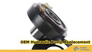 A10VG45-F02 और T13 और 45 तस्वीरें 1