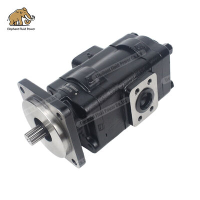 D149283 पार्कर कास्ट आयरन गियर पंप संगत वैकल्पिक | बिल्कुल संगत